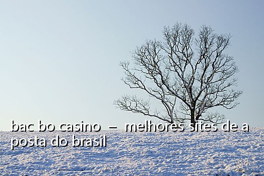 bac bo casino - melhores sites de aposta do brasil