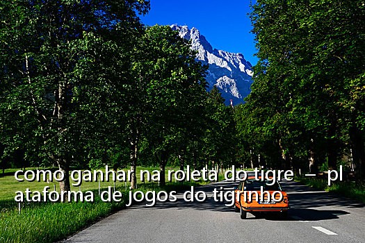 como ganhar na roleta do tigre  –  plataforma de jogos do tigrinho